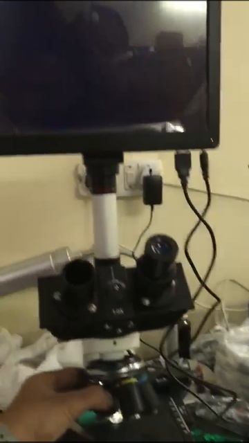 Trinocular Microscope with Computer Attachment смотреть онлайн