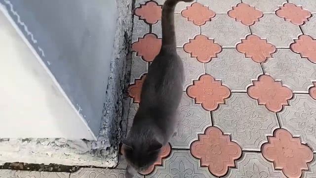 Мои Будни // Жизнь на Пенсии // Декабрь. смотреть онлайн