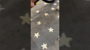 Как выводить пятна кофе с ковровых покрытий ￼