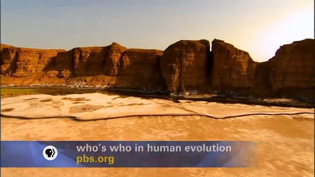 NOVA Становление Человека Человек в прошлом смотреть онлайн