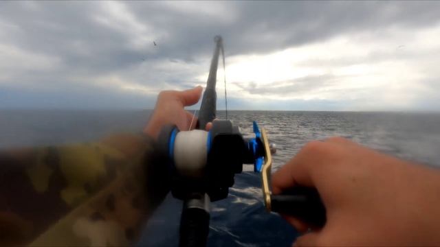 Bluefin Tuna Offshore Fishing Pacific Queen 2 Day Trip out of San Diego 14 Nov 2023 смотреть онлайн