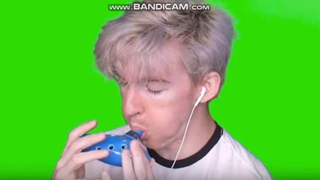 Flamingo (flamingo Edition)