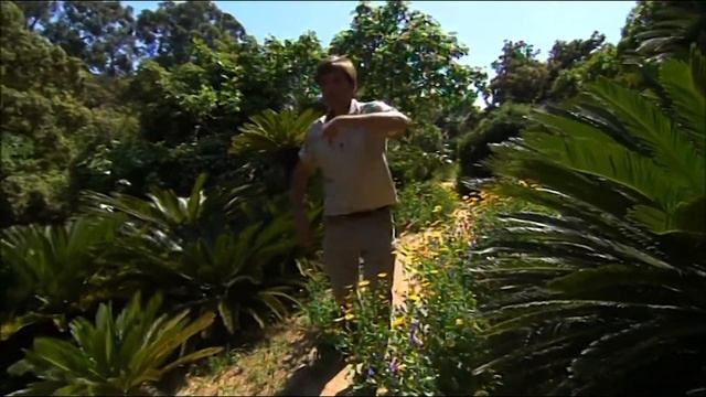 Le paradis secret du domaine du Rayol : le jardin des Méditerranées - Des Racines et des Ailes смотреть онлайн