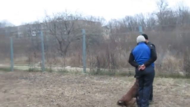Семинар с Д.Мищенко 23.11.14 В.Луки смотреть онлайн