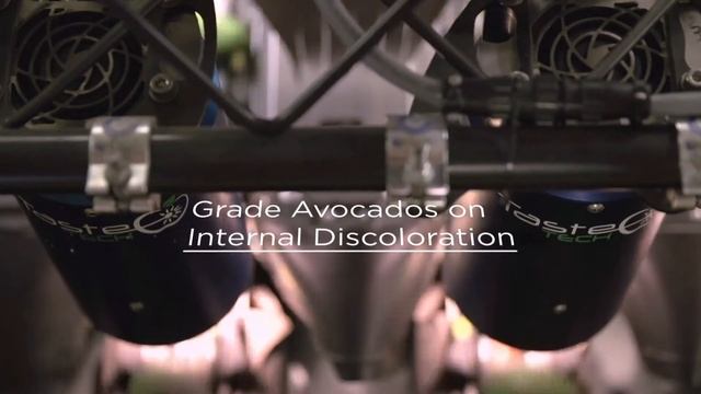 Customer Story - Eco Farms - Integrated Avocado Solution смотреть онлайн