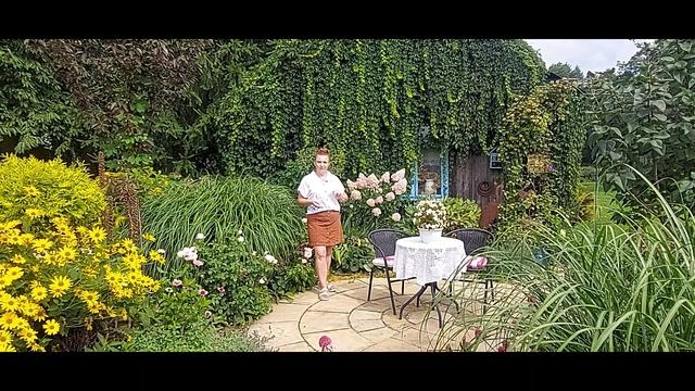 HORTENSJE PODSUMOWANIE ODMIAN Ogród w sierpniu spacer!! Hortensja na pniu - jak zrobić ? смотреть онлайн