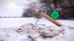 ПЕРВАЯ ЗИМНЯЯ РЫБАЛКА НА БОЛЬШОЙ РЕКЕ. Я ЖДАЛ ЭТОГО ЦЕЛЫЙ ГОД!