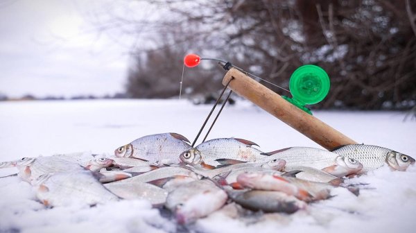ПЕРВАЯ ЗИМНЯЯ РЫБАЛКА НА БОЛЬШОЙ РЕКЕ. Я ЖДАЛ ЭТОГО ЦЕЛЫЙ ГОД!