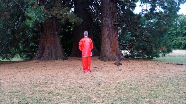 Shi Er Fa Par Ludovic Monsigny (silver medals, 7em World health Qi Gong tournament) смотреть онлайн