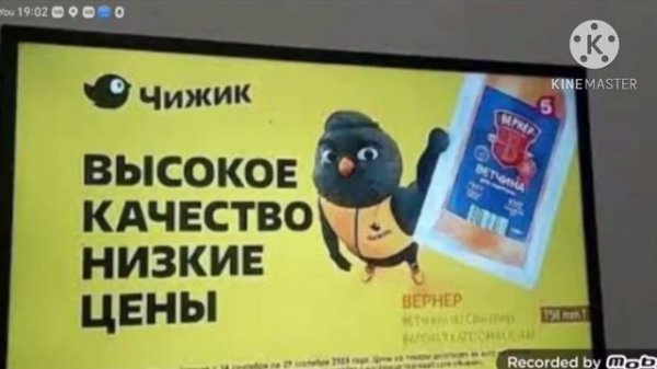 Все Рекламы Магазина «Чижик» (2023-2024)