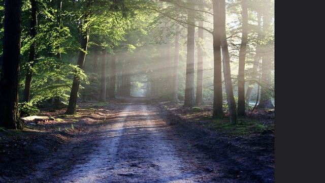 Екклесиаст глава 9. смотреть онлайн