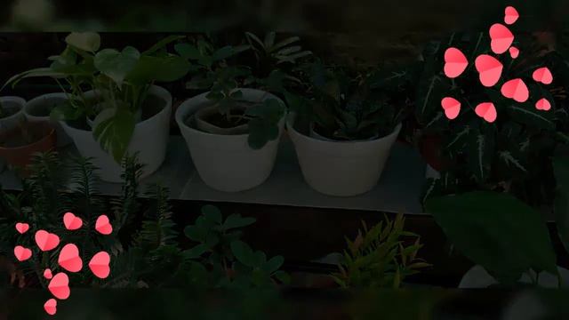 flora bank смотреть онлайн