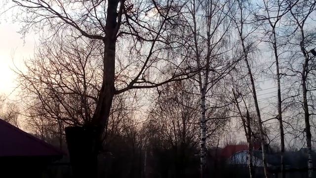 с добрым утром!!! смотреть онлайн