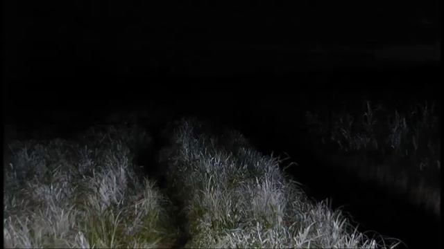 Иеромонах Роман. «Как мы жили Себя похабили...» смотреть онлайн