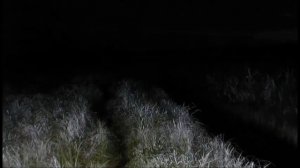 Иеромонах Роман. «Как мы жили Себя похабили...»