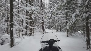 Как же в лесу дышится легко. И проникают мысли глубоко!