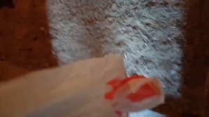 Рост бройлера на пшенице и ячмене||А как у Вас?