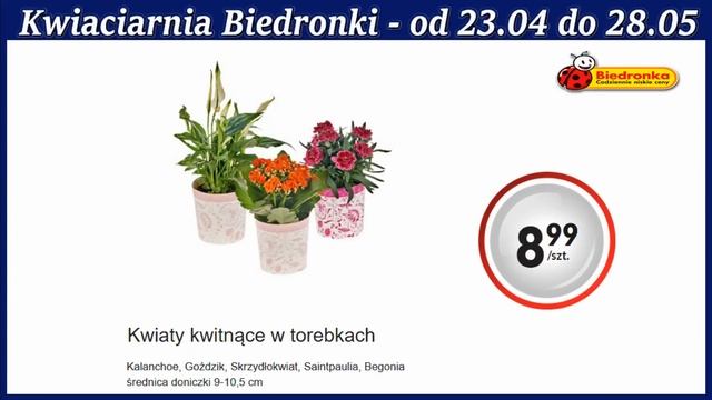 Biedronka Oferta Promocyjna Od Poniedziałku 23 Maja 2022 | Kwiatowe Inspiracje Biedronki смотреть онлайн