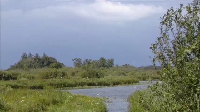 Иеромонах Роман. «Пойду за поля, в перелески...» смотреть онлайн