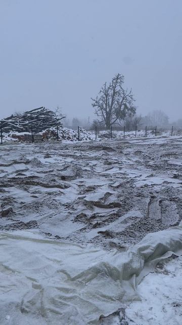 IMG_7291 смотреть онлайн