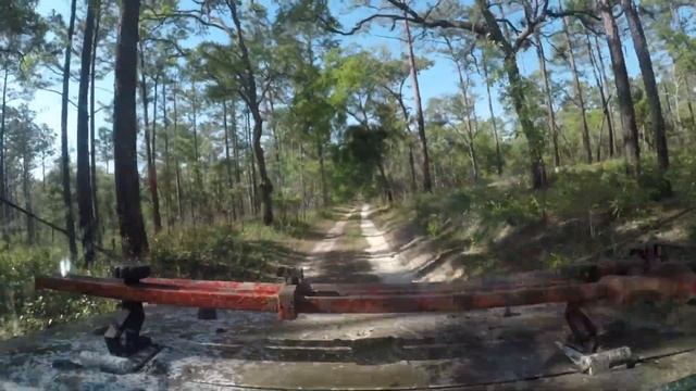 What happened in Citrus WMA FAT Florida Adventure Trail Part 1#jeeplife #Overlanding #offroad смотреть онлайн