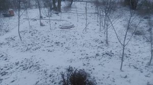 Зима много снега природа «Са́мый лу́чший день»