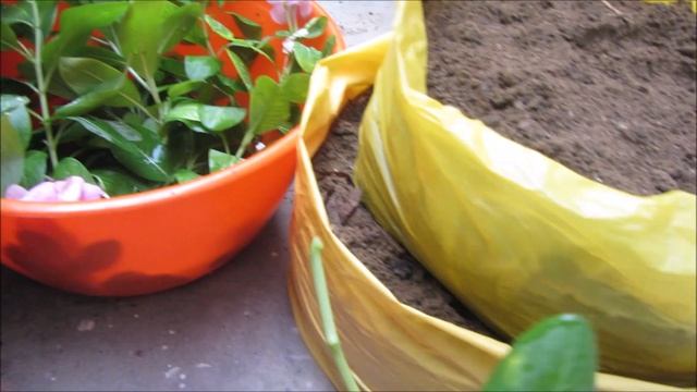DIY Make beautiful Plant Tower/Flower Tower | Easy to Make | Urdu/Hindi смотреть онлайн