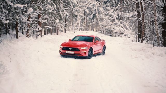 мустанг.mp4 смотреть онлайн