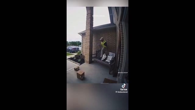 Animals doing stupid shit смотреть онлайн