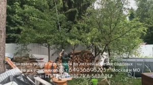 Заказать услуги агрономов по обрезке садовых деревьев и кустарников по т.84956695223 г.Москва и МО