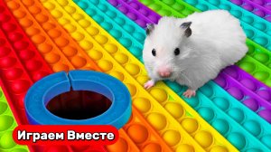 Вместе с Хомяком выбираемся из сложного лабиринта с ловушками ! Видео для детей