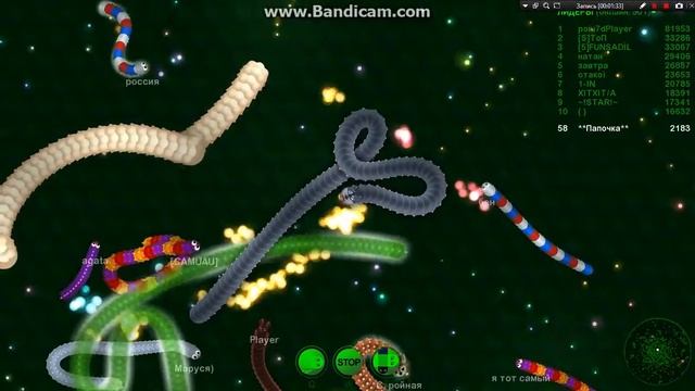 Wormax.io | Немного тащим! смотреть онлайн