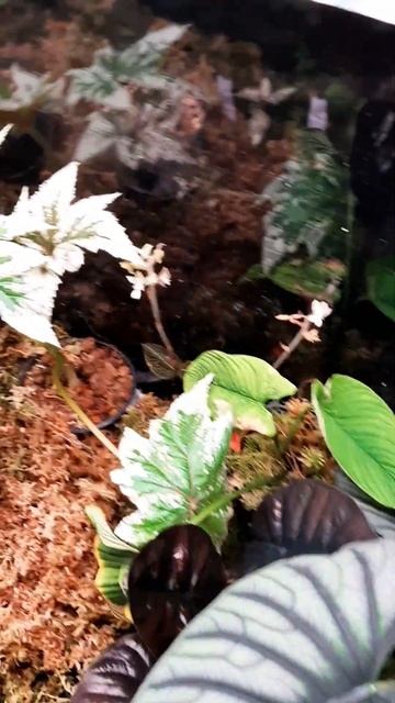 3 октября 2022 г. смотреть онлайн