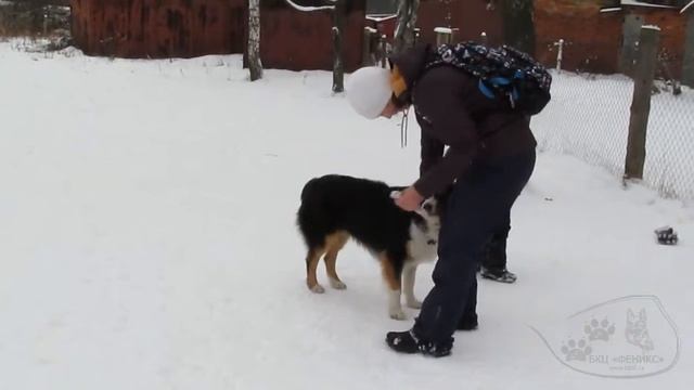 Ирис НКД смотреть онлайн