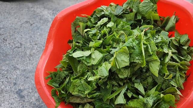 How I Prepare My Sorrel Leaves смотреть онлайн