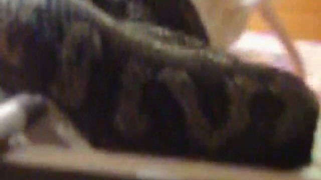 chloe eaing huge rat !!.wmv смотреть онлайн