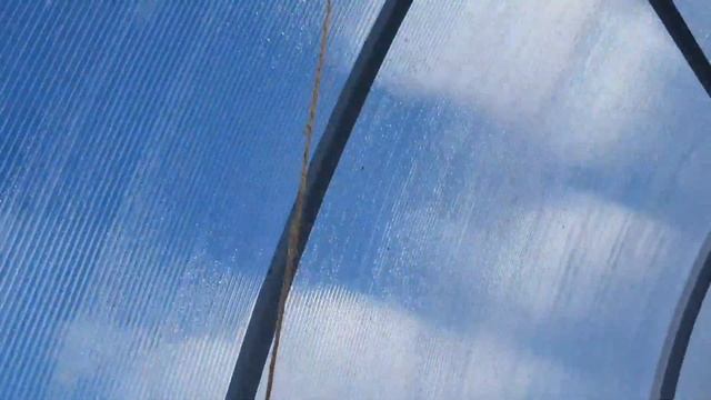 Как растения пережили морозную ночь? Как я подвязываю помидоры. Борьба с сорняками. смотреть онлайн