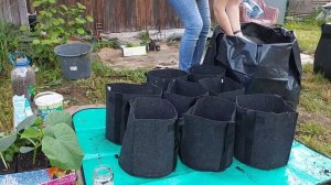 Посадка перцев на подушку из травы // Контейнерный огород