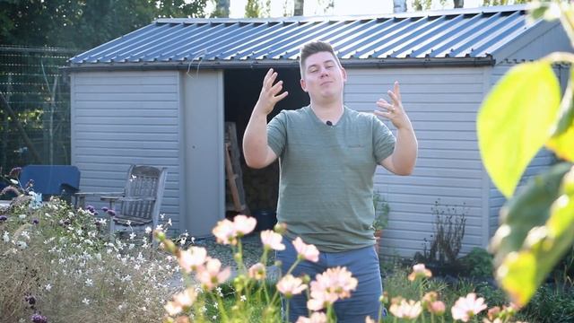 3 planten om je herfsttuin op te fleuren! Aster, Pennisetum & Rudbeckia 🍂 I Angelo Dorny смотреть онлайн