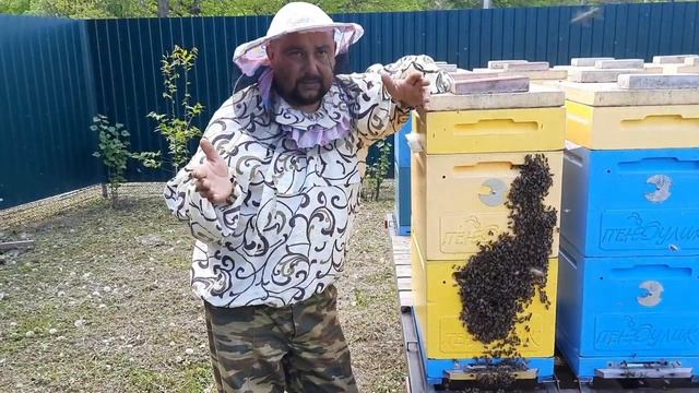 Как Вывести Пасеку из Ройки на Любой Стадии!!! смотреть онлайн