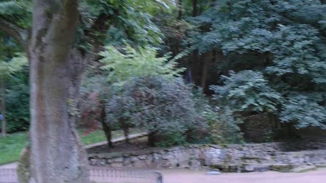 Стрийский парк - Львов смотреть онлайн