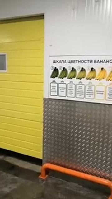 Комплекс по дозариванию бананов (1) смотреть онлайн