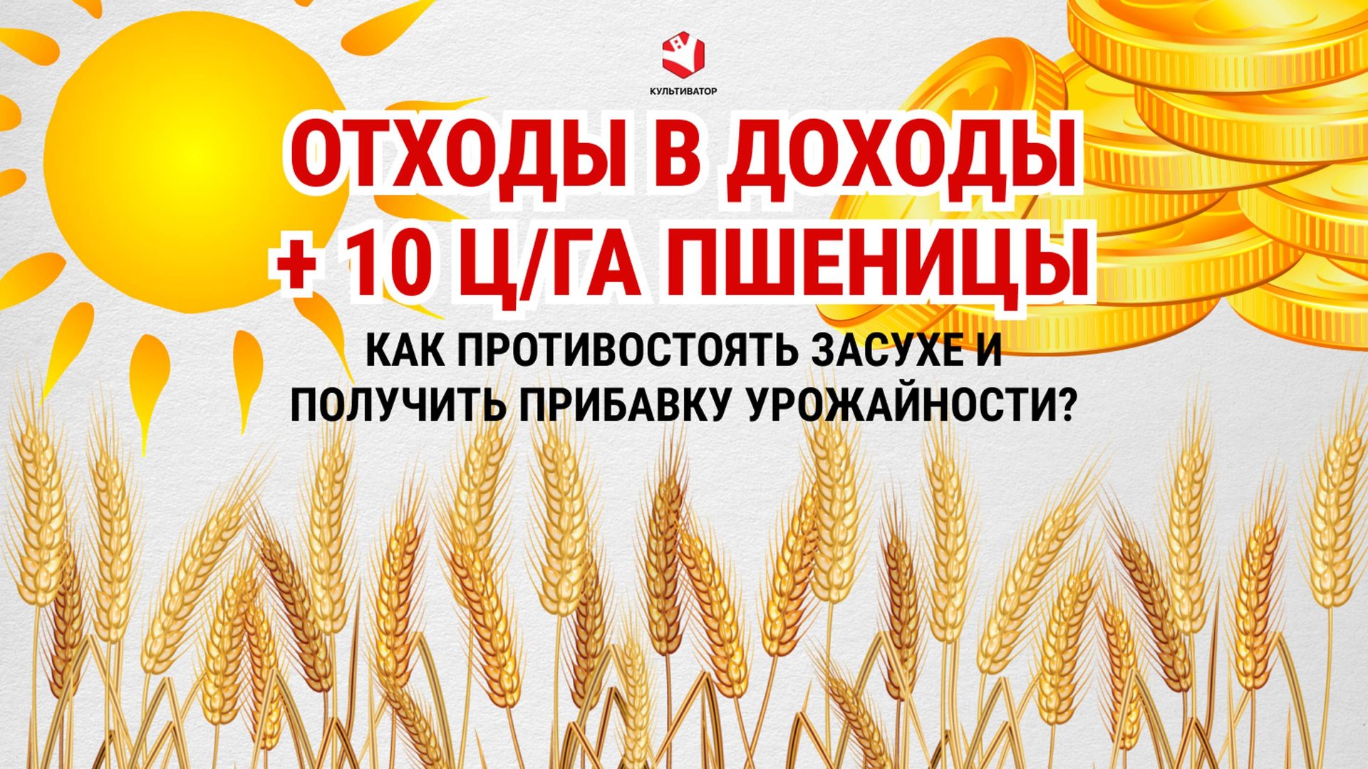 Как получить прибавку урожайности пшеницы? | Спасаем урожай от засухи | Органические удобрения смотреть онлайн