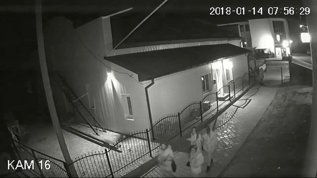 У Рожищі поцупили оленя смотреть онлайн