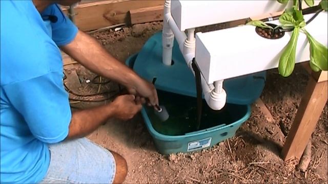 Growing Hydroponic Lettuce - Keeping it Simple смотреть онлайн