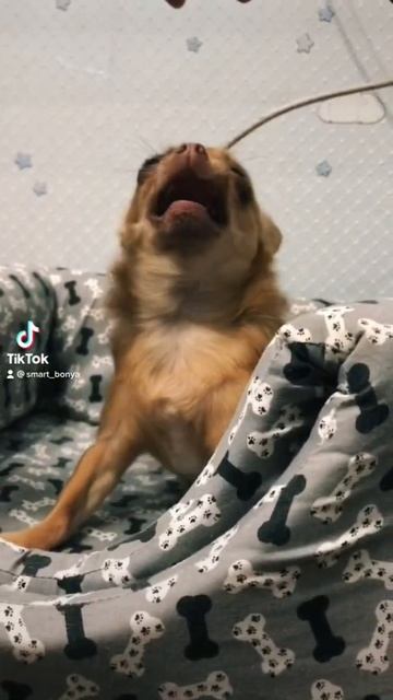 Ты тронула меня! смотреть онлайн