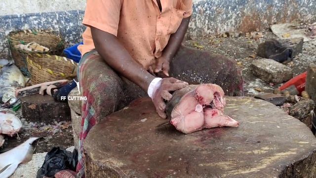 TUNA FISH CUTTING | FISH CUTTING SKILL |IN KASIMEDU FISH MARKET |FF CUTTING 🔪🦈