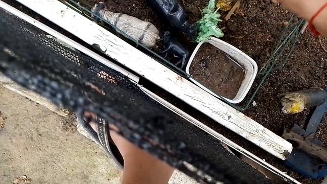 nasceu o bezerro!!!!(fazendinha de brinquedos JH) смотреть онлайн