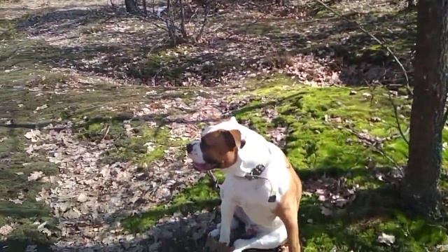7 марта Подснежник смотреть онлайн