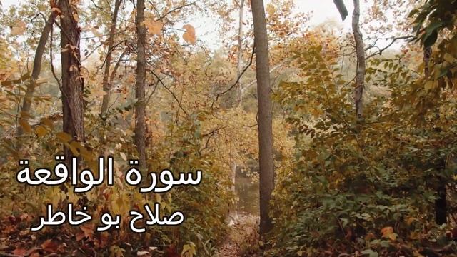 سورة الواقعة | صلاح بو خاطر - تلاوة تدخل القلب دون استئذان Quran Karim Salah Bukhatir –Surah Waqia смотреть онлайн